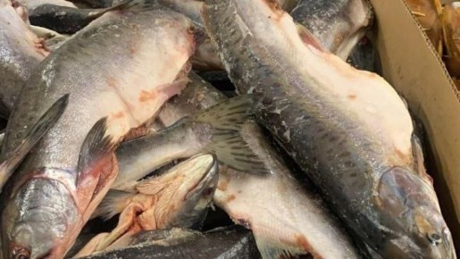 ��������� ������� �������� � ���� ����� ���� �� ��������� ���� � ���� 2026 ����