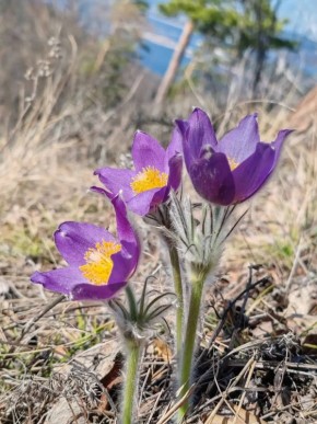 ���������� �������. �� ����� ������� ����������� ���, ��������� �������� �������� �������, ��������� ������ ������������