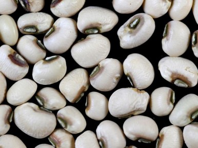 ������: ��� ���� �������� ���������� ������ � ��������� �������� ������