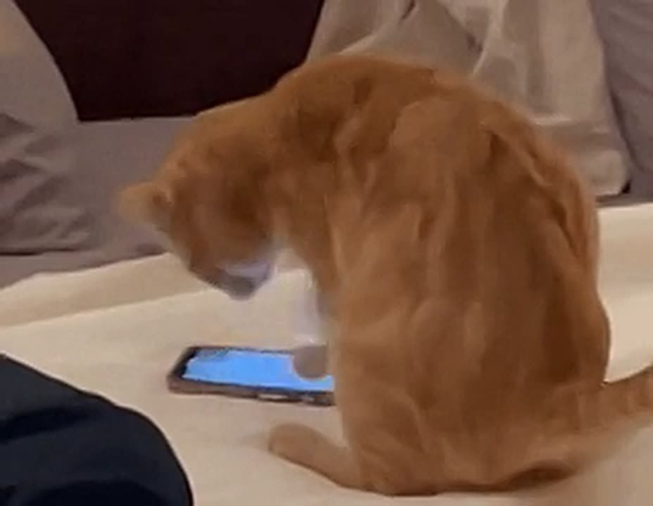 � ����� ����� � ��������� ���������� ���� ��������� ������� �����