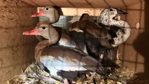 ������ ����� ������������ ���� ���������� ���������� ��������� ������ ��������� ������� � �������������, ����������� �� ����������� � ���������� ������� ����� ���������� ����������