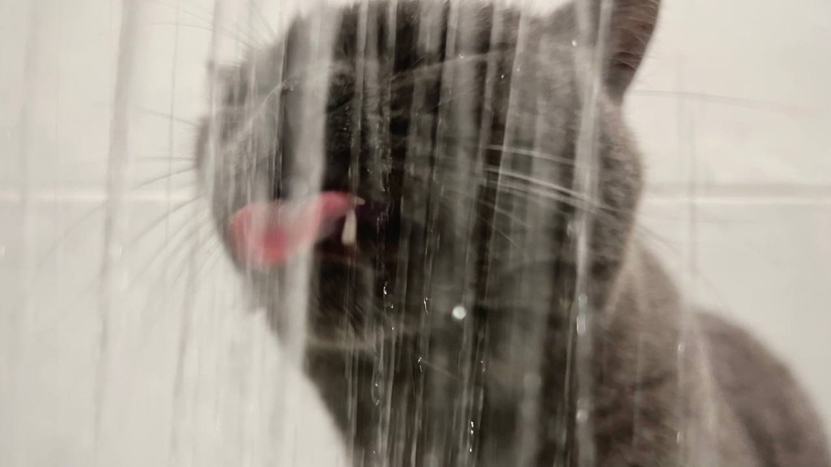 4 апреля несколько улиц в Самаре останутся без воды