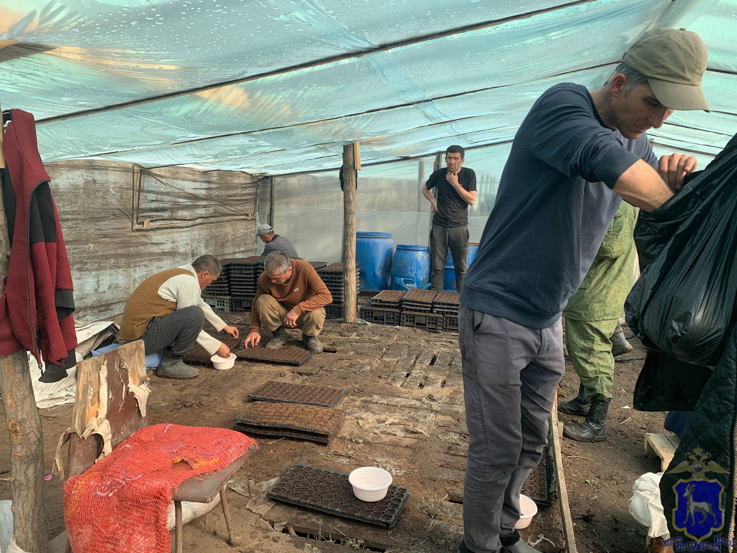 Миграционная проверка с последствиями: кого и за что наказали в Самарской области Миграционная проверка с последствиями: кого и за что наказали в Самарской области