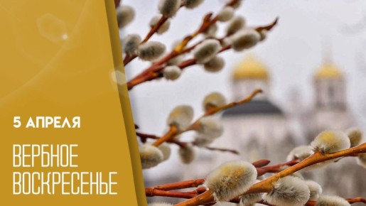 5 ������ ������������ �������� �������� ������� �����������