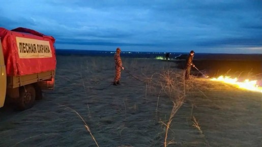 � �������� �������� ������� �������� �� ������� ��� �������