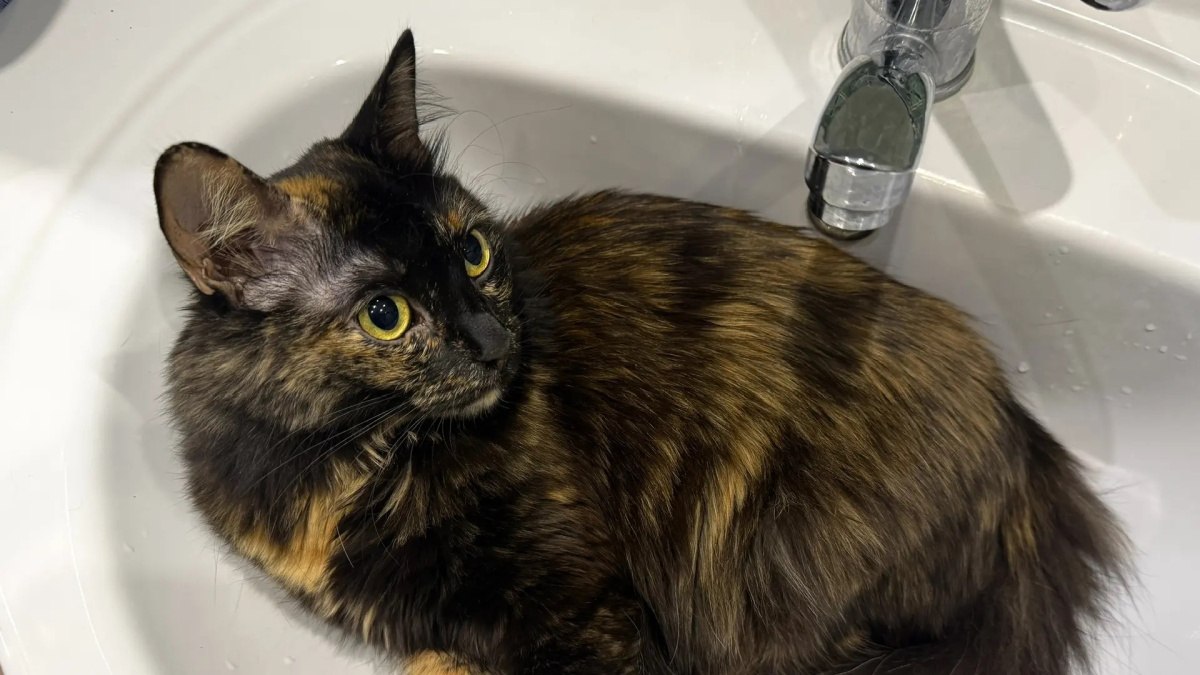 6 апреля отключат холодную воду на нескольких улицах Самары