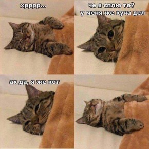 ������ ����, ������!. �� ����� ��������, �� ������� ������� ��� - ����� ����� ����� � ����� ������