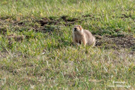 ��������� ������� � ��������� � ������������ ������