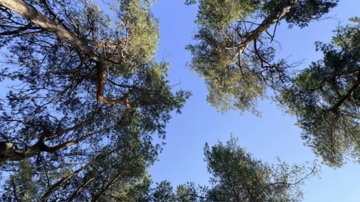 ������ ����!. 7 ������ ����������� ������� ���������� �� +13...+18 �C ��������� ������������ �������� ������ � ������������