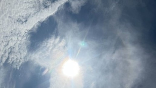 �������� ������������ � ���� ������ ������ � ��� 2026 ����