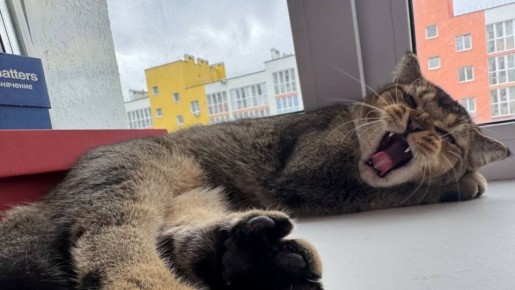 В Самаре в честь Дня Победы перенесут выходной на 11 мая