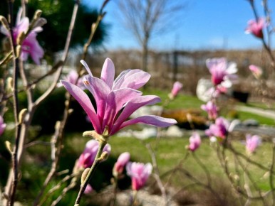 ������ ����!. 8 ������ ����������� ������� ���������� �� +8...+14 �C ��������� ������������ ��������� ������