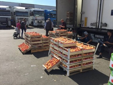 Известную самарскую овощную базу №3 выставили на продажу за 1,5 млрд рублей