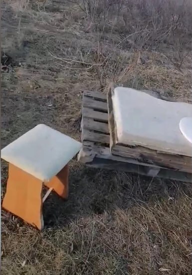 Обугленное тело собаки нашли в ЖК «Солнечный» в Тольятти Обугленное тело собаки нашли в ЖК «Солнечный» в Тольятти