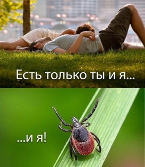 ����� ������ ������ ������������ �� ������ � ������� 13 ������