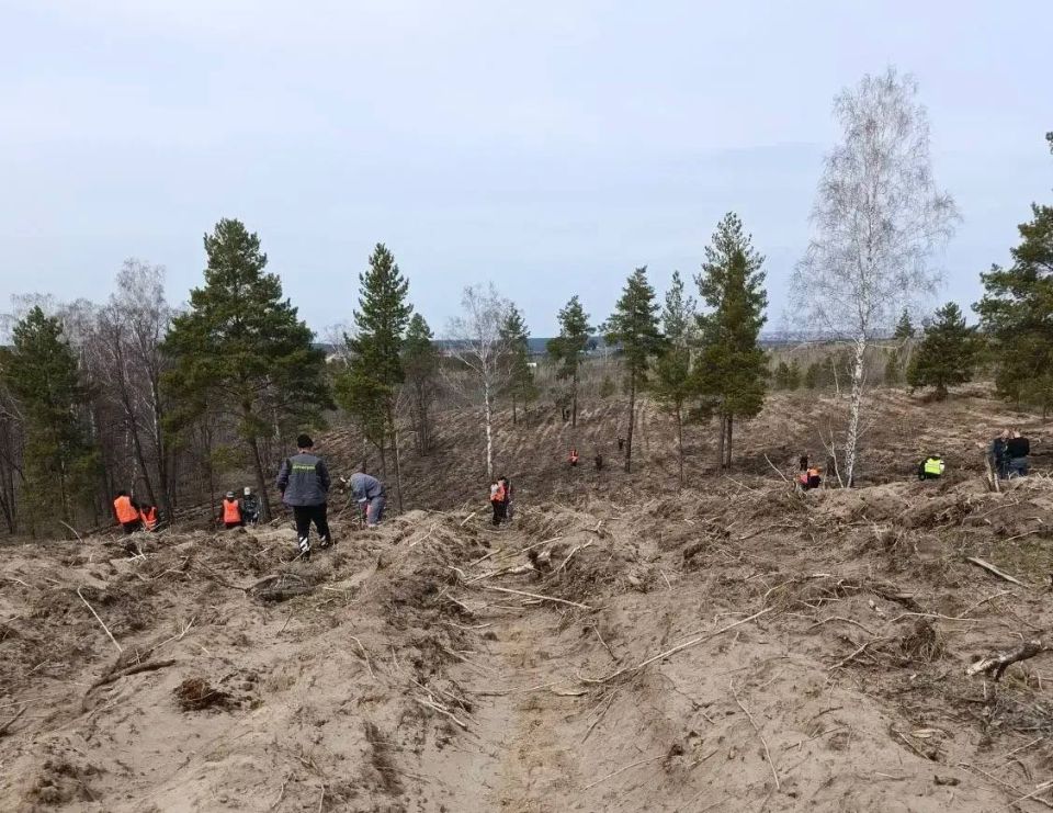 ������� � �������� ���������� � ������� ������ ����