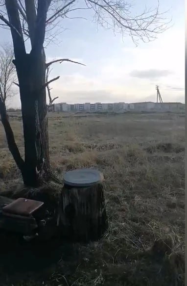 Обугленное тело собаки нашли в ЖК «Солнечный» в Тольятти Обугленное тело собаки нашли в ЖК «Солнечный» в Тольятти