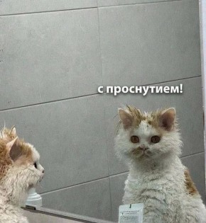 ������ ����, ������!. ������� ����� ������� � ������������, ��������� ��������� �����