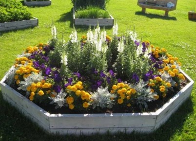 Как создать идеальный цветник: 9 увлекательных идей для вашего сада