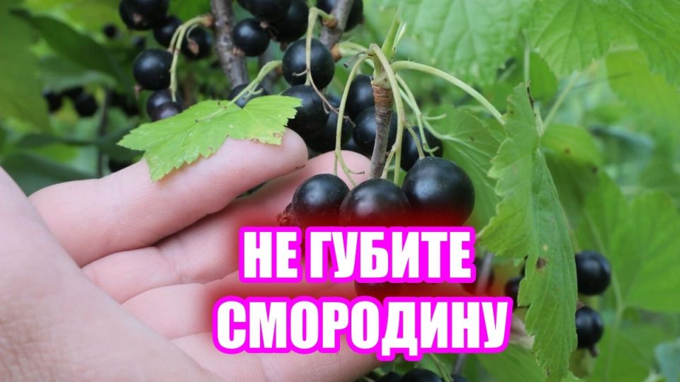 ��� ��������� ������������� ��������� ����� ������������ � ��� ����� ���������
