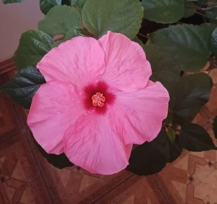 ����� ������ ��� ������. ��������, �������� ����� ���������� � �����������!