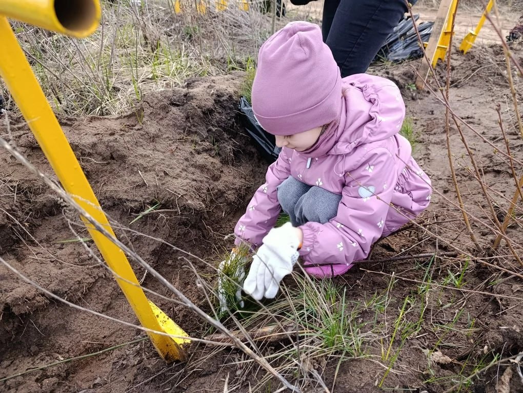 Восстановим и вырастим лес вместе! Восстановим и вырастим лес вместе!