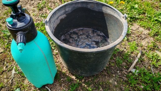 ����� ����� ����������: ��� ���������� ����� ������ �������� � ���������� �������������� � ����