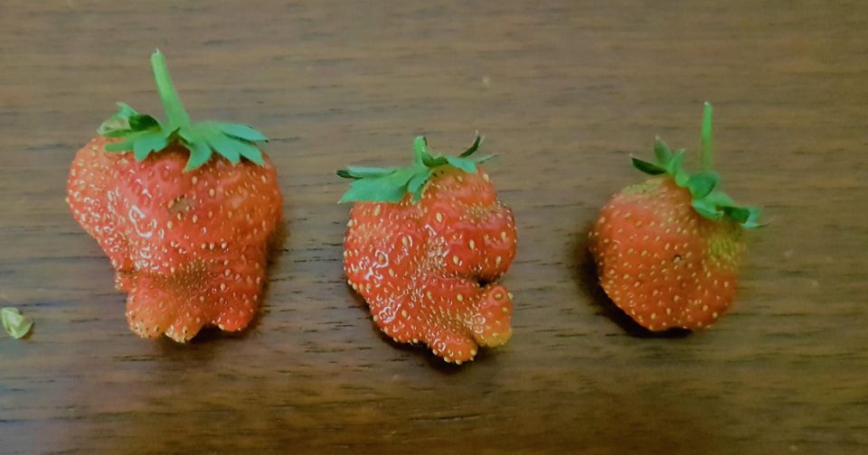 ��� ������������� ��������� ��������� ���� ��������: ������� ������� � �������