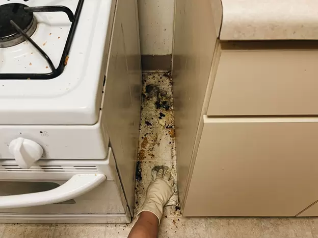 Кухонные ловушки: как избежать трех распространенных ошибок и облегчить жизнь