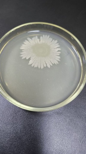 ������� ��� ����: ��� ������� ���������� ���� ������� ����� ���������