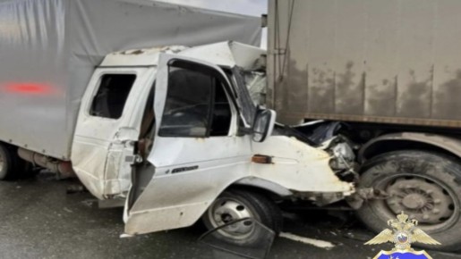 � ��������� ��� �������� � ������������ � �������� ��� �� ������