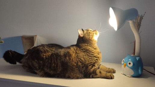 В Самарской области произойдет массовое отключение электроэнергии с 13 по 18 апреля 2026 года