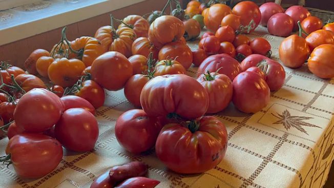 ��� ������������ ����� ���� �������� ���������: ������ � ������ ��������