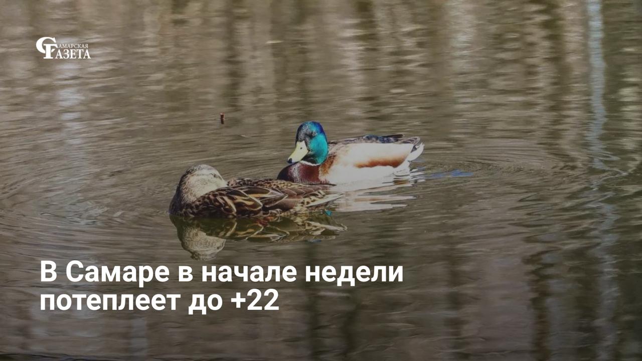 В Самарской области ожидается резкое потепление до +22 градусов