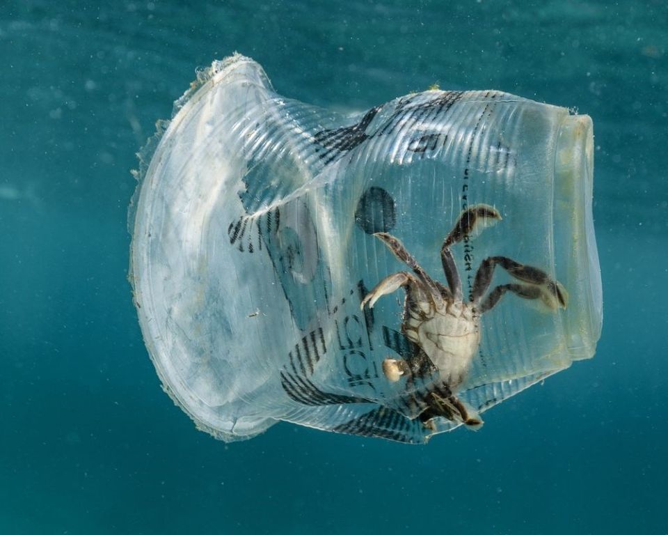 ��� The Ocean Cleanup ������� � ����������� ������������ � �������