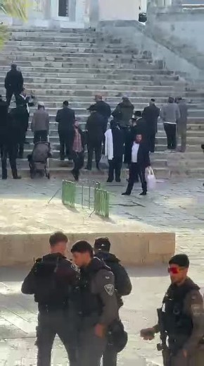 Мы и без армии справимся. Наверное