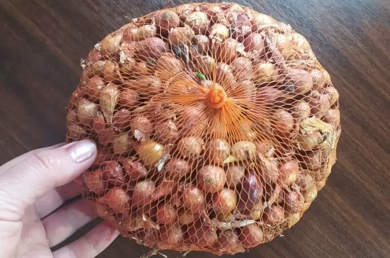 Эффективное обеззараживание лука-севка для здорового урожая