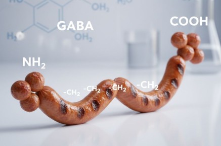 ����-��������: ��� ��������� ���������������� ������