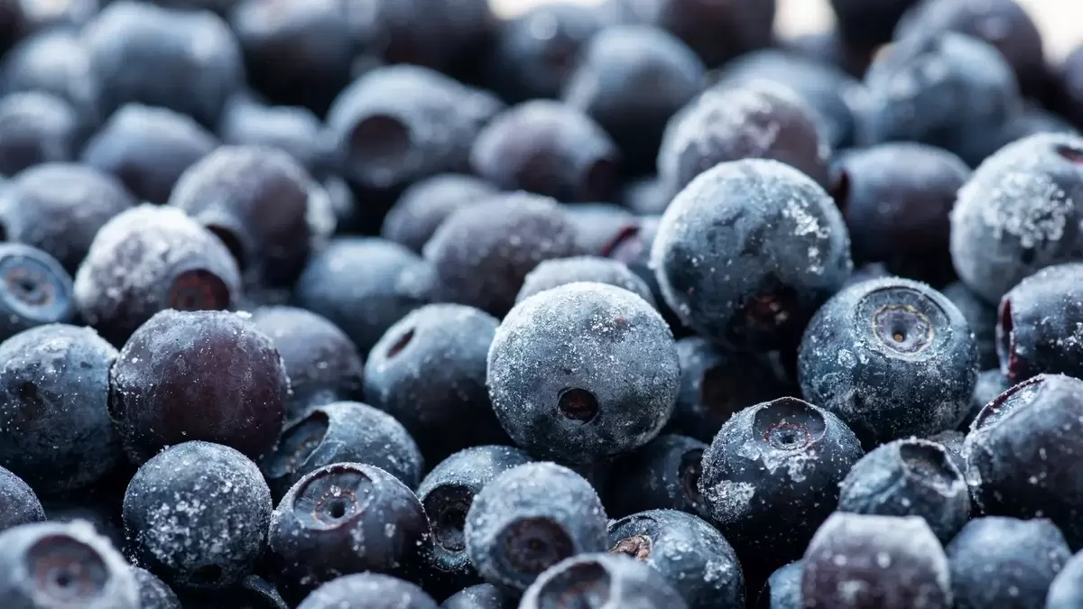 Замороженная черника: полезнее свежей? Открываем секреты