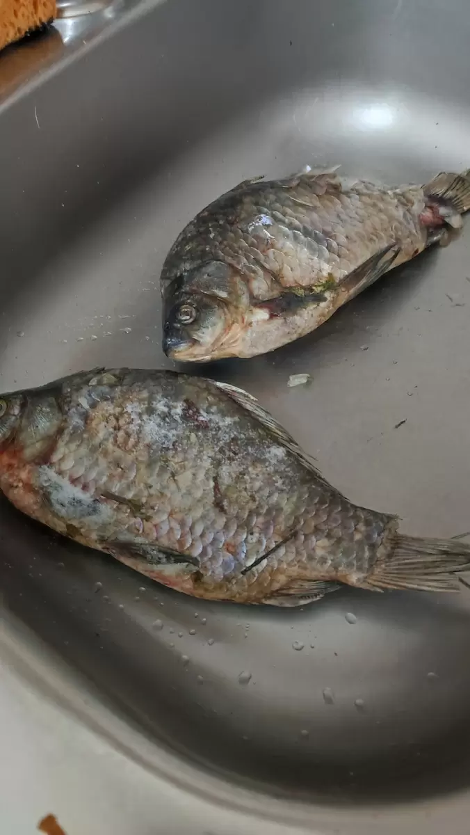 Как вкусно приготовить карася: три простых рецепта на любой вкус