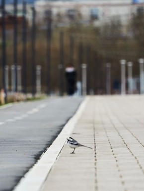 ������ � ��������. �������� �������� � ����� ������� ������ �������� ��������