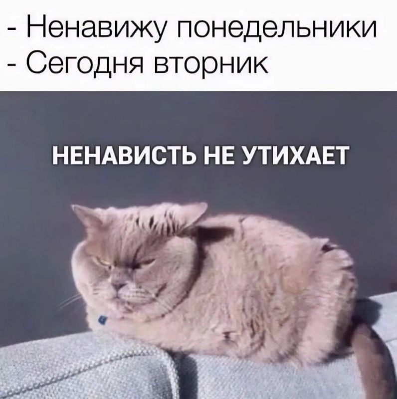 ���� ������ ����!. �� ��������, ������� ��� ���� ���������� ����������, ������� ��������������� �����, �����