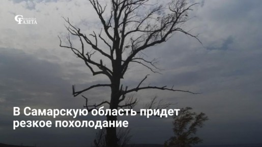 � ��������� ������� ��������� ������ �����������