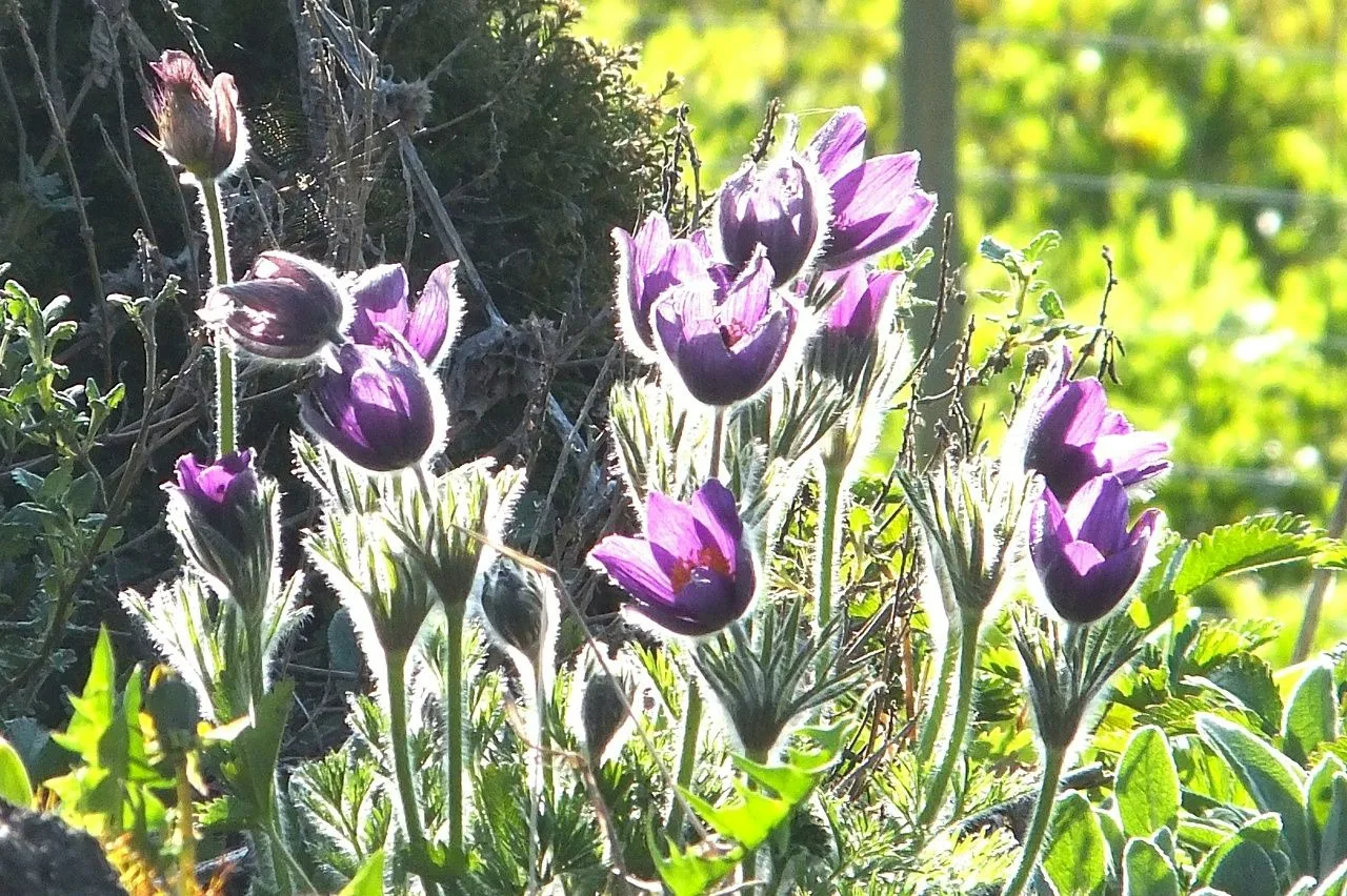 15 апреля — День экологических знаний!