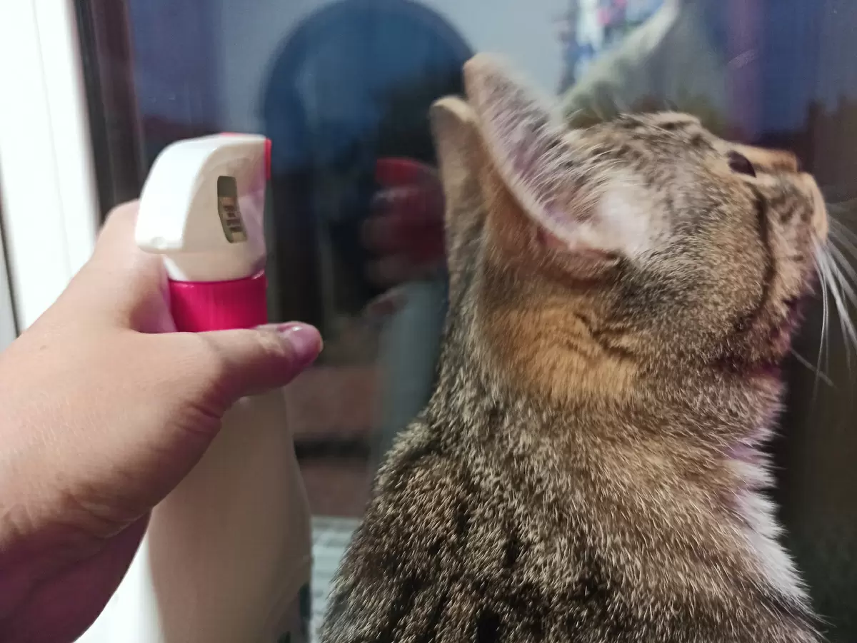 Секреты идеальной чистоты окон: как добиться безупречного блеска