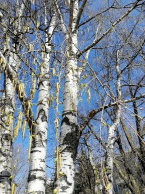Привет, Тольятти! . Готовьтесь к довольно тёплому дню