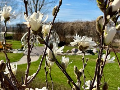 Доброе утро!. 15 апреля температура воздуха поднимется до +12...+18 °C Синоптики прогнозируют облачную погоду с прояснениями, местами кратковременный дождь Ветер северо-восточный, восточный, 4...12 м/с