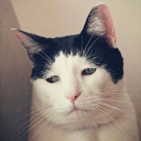 ����� �������� ��� � ����. ������������� � 13-������ ����� ����� �� ������