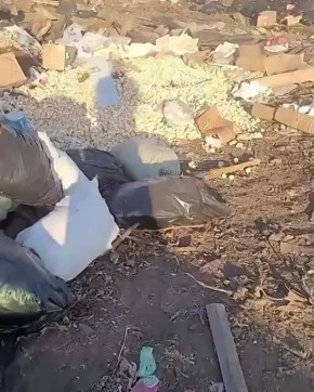 ����� ������ ������ �� ������ ����������� ���