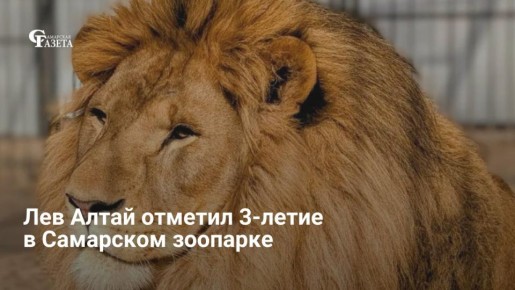 ��� ����� ������� � ������ �� �������� � 2023 ���� ��������� ��������